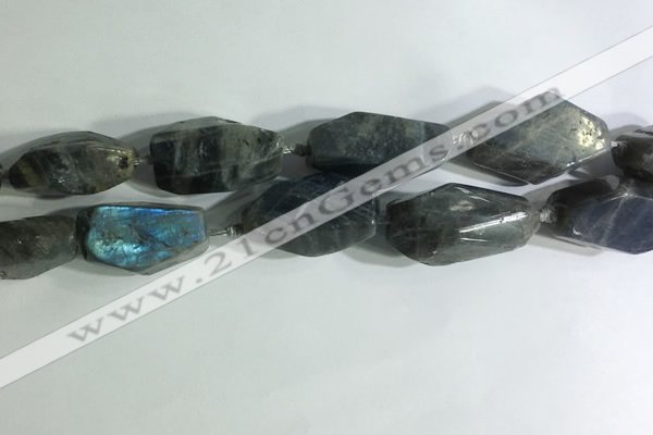 CNG7964 15.5 inches 15*25mm - 20*40mm nuggets labradorite beads