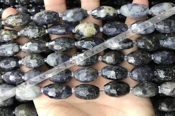 CNG8521 15.5 inches 10*16mm - 11*20mm faceted nuggets iolite beads