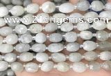 CNG8530 15.5 inches 8*9mm - 9*11mm faceted nuggets moonstone beads