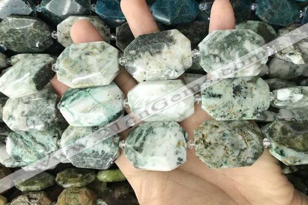 CNG8557 15.5 inches 22*30mm - 25*35mm faceted freeform jade beads