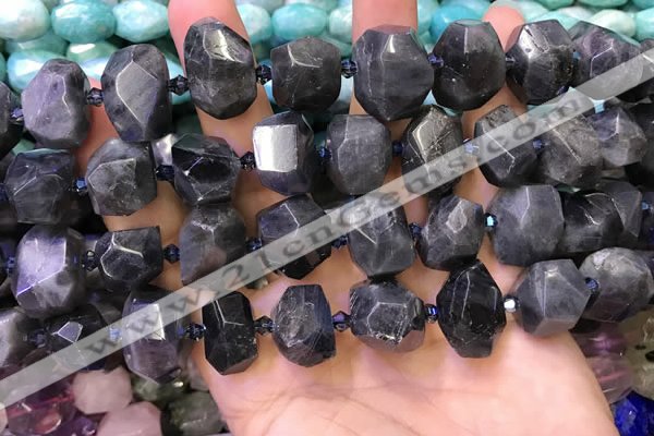 CNG8600 12*16mm - 13*18mm faceted nuggets labradorite beads