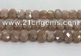 CNG8616 10*13mm - 12*16mm faceted freeform moonstone beads