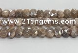 CNG8617 10*13mm - 12*16mm faceted freeform AB-color moonstone beads