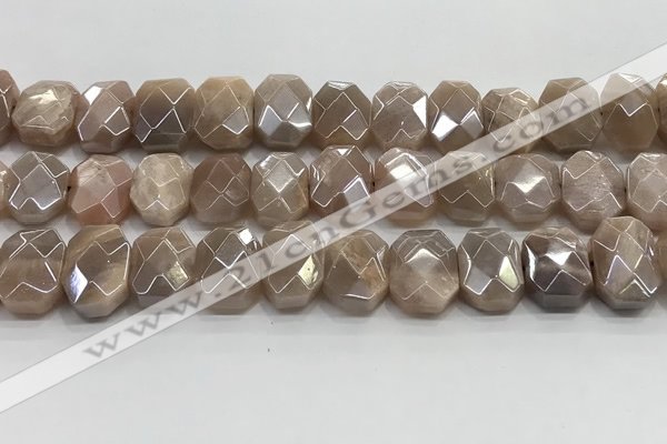 CNG8617 10*13mm - 12*16mm faceted freeform AB-color moonstone beads