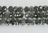 CNG8622 10*13mm - 12*16mm faceted freeform labradorite beads