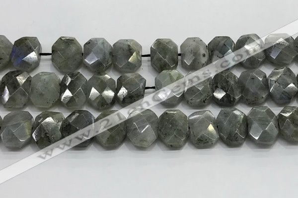 CNG8622 10*13mm - 12*16mm faceted freeform labradorite beads