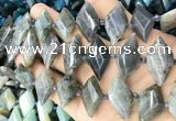 CNG8646 13*20mm - 15*25mm faceted freeform labradorite beads