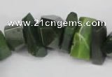 CNG869 15.5 inches 7*14mm – 13*25mm faceted nuggets Canadian jade beads