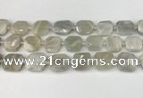 CNG8808 15.5 inches 16mm - 20mm faceted freeform moonstone beads