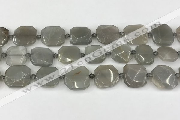 CNG8809 15.5 inches 16mm - 20mm faceted freeform moonstone beads