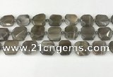 CNG8810 15.5 inches 16mm - 20mm faceted freeform moonstone beads