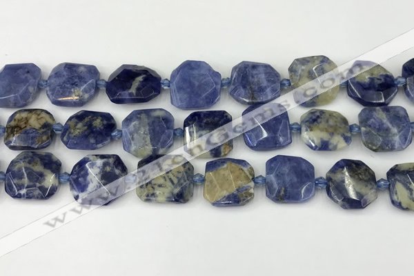 CNG8819 15.5 inches 16mm - 20mm faceted freeform sodalite beads