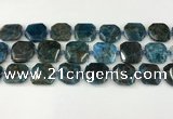 CNG8821 15.5 inches 16mm - 20mm faceted freeform apatite beads