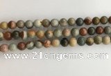 CNI371 15.5 inches 8mm round American picture jasper beads