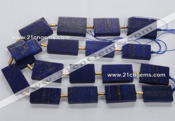 CNL1520 15.5 inches 20*30mm - 25*35mm rectangle lapis lazuli beads