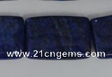 CNL537 15.5 inches 20*30mm rectangle natural lapis lazuli gemstone beads