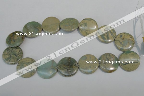 CNS235 15.5 inches 30mm flat round natural serpentine jasper beads