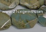 CNS263 15.5 inches 22*30mm octagonal natural serpentine jasper beads