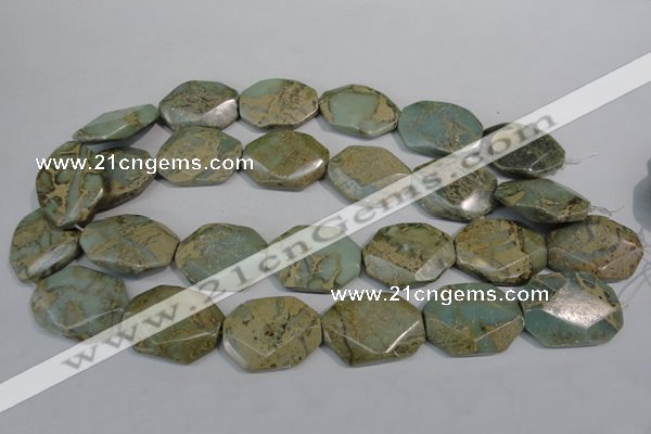 CNS263 15.5 inches 22*30mm octagonal natural serpentine jasper beads