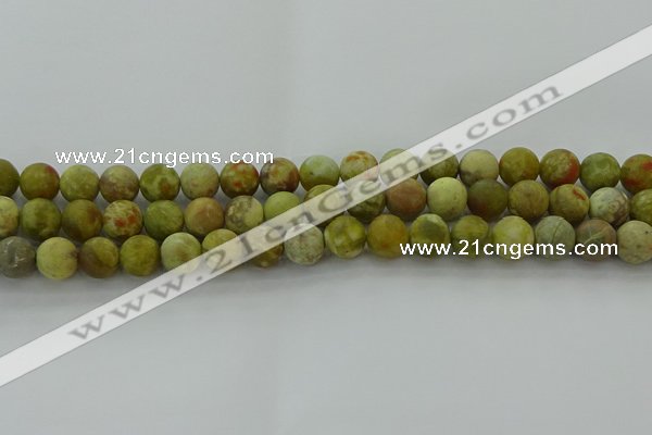 CNS652 15.5 inches 10mm round matte green dragon serpentine jasper beads