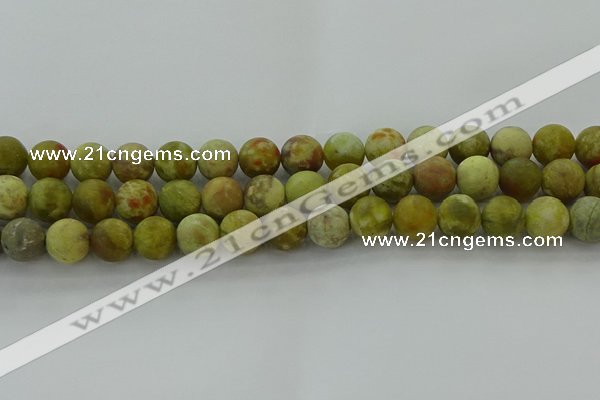 CNS653 15.5 inches 12mm round matte green dragon serpentine jasper beads