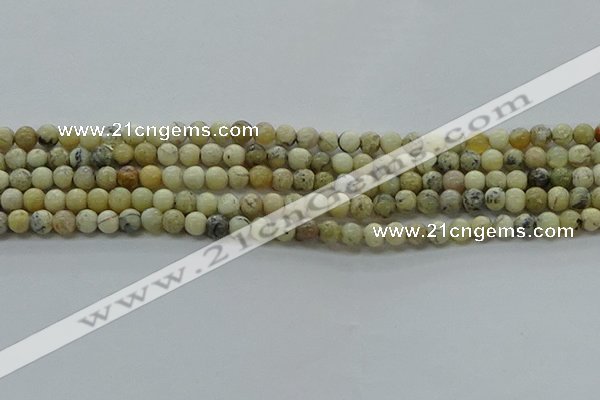 COP1460 15.5 inches 4mm round African opal gemstone beads