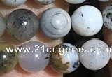 COP1555 15.5 inches 6mm round opal gemstone beads wholesale