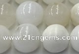 COP1733 15.5 inches 12mm round white opal beads wholesale