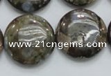 COP252 15.5 inches 25mm flat round natural grey opal gemstone beads