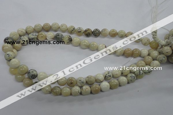 COP803 15.5 inches 10mm round natural African opal beads