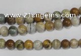 COS161 15.5 inches 6mm round ocean stone beads wholesale