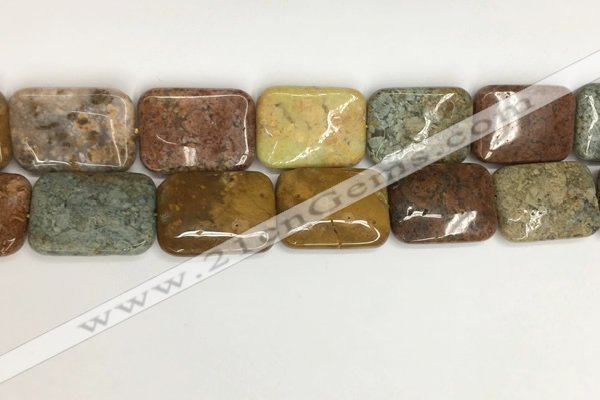 COS256 15.5 inches 22*30mm rectangle ocean stone beads wholesale