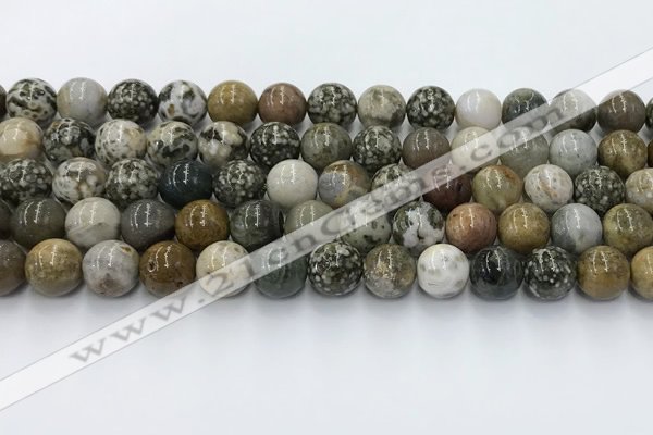 COS308 15.5 inches 10mm round ocean jasper beads wholesale