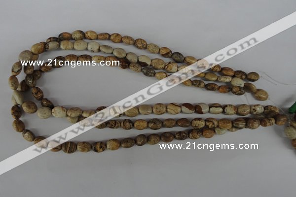 COV34 15.5 inches 8*10mm oval picture jasper beads wholesale