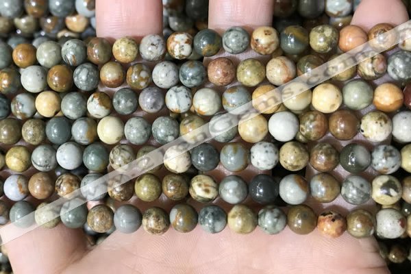 CPJ707 15.5 inches 6mm round rocky butte picture jasper beads