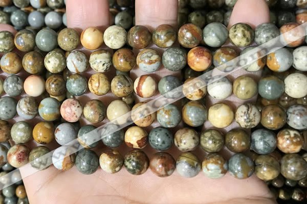 CPJ708 15.5 inches 8mm round rocky butte picture jasper beads