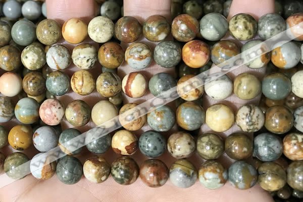 CPJ709 15.5 inches 10mm round rocky butte picture jasper beads