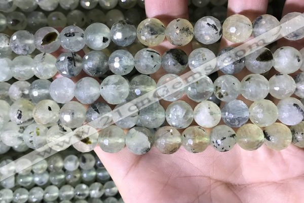 CPR359 15.5 inches 10mm faceted round prehnite beads wholesale