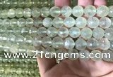 CPR363 15.5 inches 10mm faceted round prehnite gemstone beads