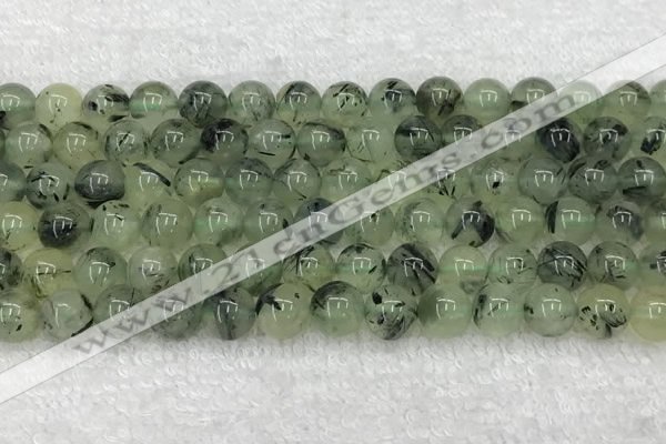 CPR391 15.5 inches 8mm round prehnite beads wholesale
