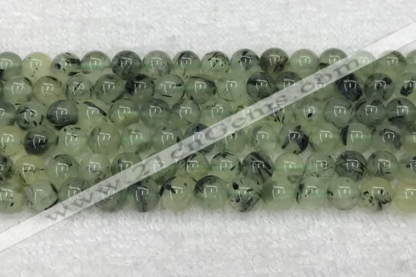 CPR391 15.5 inches 8mm round prehnite beads wholesale