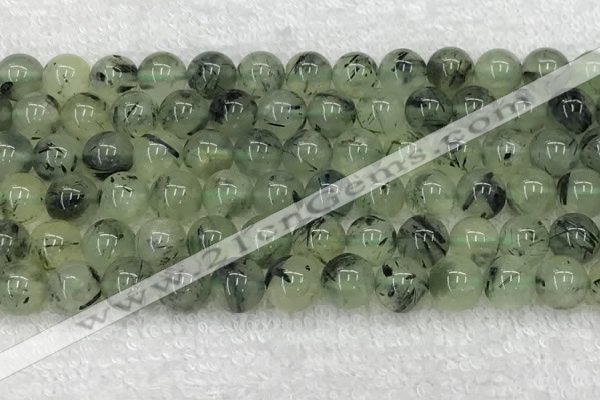 CPR393 15.5 inches 12mm round prehnite beads wholesale