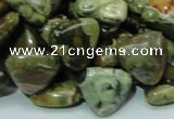 CPS32 15.5 inches 16*16mm triangle green peacock stone beads