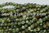 CPS54 15.5 inches 4mm faceted round green peacock stone beads