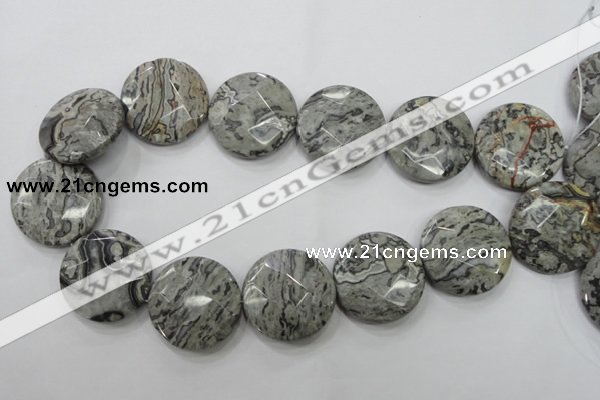 CPT127 15.5 inches 30mm faceted coin grey picture jasper beads