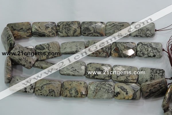 CPT131 15.5 inches 20*30mm faceted rectangle grey picture jasper beads