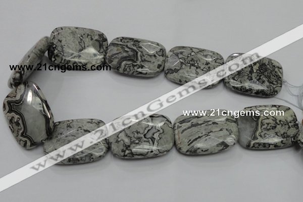 CPT133 15.5 inches 30*40mm faceted rectangle grey picture jasper beads