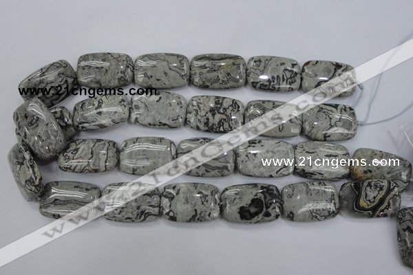 CPT182 15.5 inches 20*30mm rectangle grey picture jasper beads