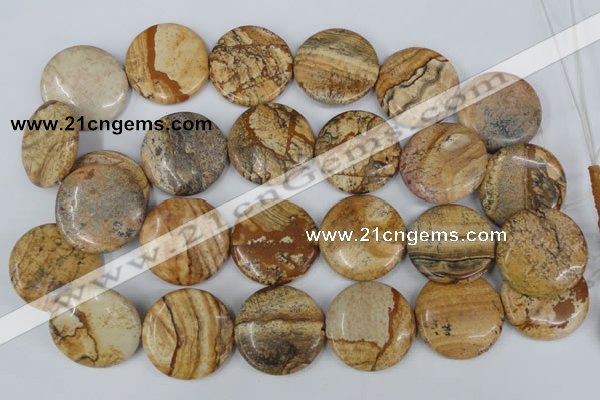 CPT260 15.5 inches 30mm flat round picture jasper beads wholesale