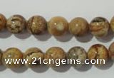 CPT453 15.5 inches 10mm round picture jasper beads wholesale